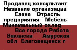 Продавец-консультант › Название организации ­ Елена › Отрасль предприятия ­ Мебель › Минимальный оклад ­ 20 000 - Все города Работа » Вакансии   . Амурская обл.,Благовещенск г.